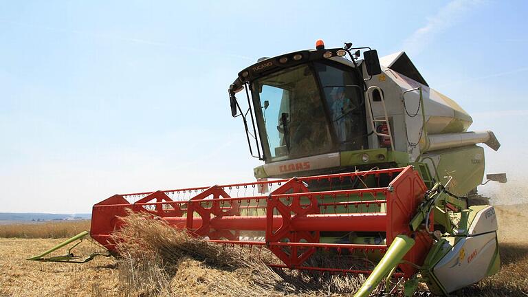 Mittlerweile helfen hoch technisierte Geräte beim Dreschen. Das erleichtert dem Landwirt viel Arbeit. Foto: Archiv Ralf Ruppert       -  Mittlerweile helfen hoch technisierte Geräte beim Dreschen. Das erleichtert dem Landwirt viel Arbeit. Foto: Archiv Ralf Ruppert