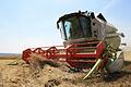 Mittlerweile helfen hoch technisierte Geräte beim Dreschen. Das erleichtert dem Landwirt viel Arbeit. Foto: Archiv Ralf Ruppert       -  Mittlerweile helfen hoch technisierte Geräte beim Dreschen. Das erleichtert dem Landwirt viel Arbeit. Foto: Archiv Ralf Ruppert