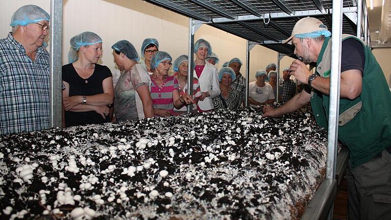 Doppelt so groß in 24 Stunden: Stellvertretender Pilzland-Betriebsleiter Gert Henne-Wellner erklärt MdB Anja Weisgerber (weißer Blazer) und anderen Besuchern die Champignon-Produktion im Eßlebener Betrieb.