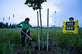 Greenpeace-Protest gegen Erdgasbohrung       -  Aktivisten der Umweltschutz-Organisation Greenpeace pflanzen zum Protest gegen Gasbohrungen Bäume auf dem geplanten Bohrfeld. (Archivbild)