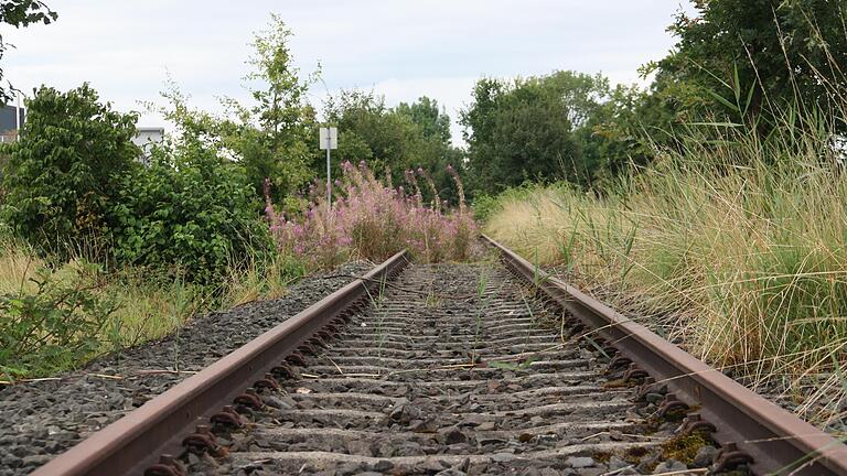 Die Strecke der stillgelegten Steigerwaldbahn bei Gerolzhofen. Die Strecke der stillgelegten Steigerwaldbahn bei Gerolzhofen.