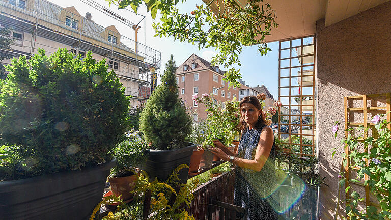 Viel Grün auf dem gar nicht all zu großen Balkon: links der Buxbaum, in der Mitte das Zuckerhutbäumchen, davor Rohrkolben und die gelben Goltruten. Thomas Obermeier Viel Grün auf dem gar nicht all zu großen Balkon: links der Buxbaum, in der Mitte das Zuckerhutbäumchen, davor Rohrkolben und die gelben Goltruten. Thomas Obermeier