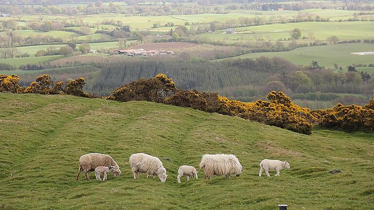 Blick auf das Boyne Valley bei Loughcrew