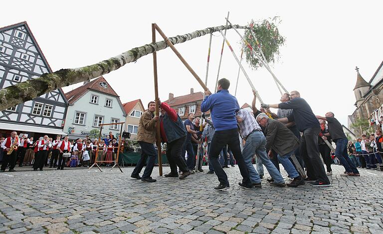 Das Aufstellen des Maibaum ist Gemeinschaftsarbeit - wie hier in Gerolzhofen im Landkreis Schweinfurt (Archivfoto von 2014). Das Aufstellen des Maibaum ist Gemeinschaftsarbeit - wie hier in Gerolzhofen im Landkreis Schweinfurt (Archivfoto von 2014).