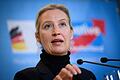 AfD-Chefin Alice Weidel       -  AfD-Chefin Alice Weidel bekommt ein weltweites Millionenpublikum: Tech-Milliardär Elon Musk trifft sich voraussichtlich mit ihr online für einen Live-Talk. (Archivfoto)