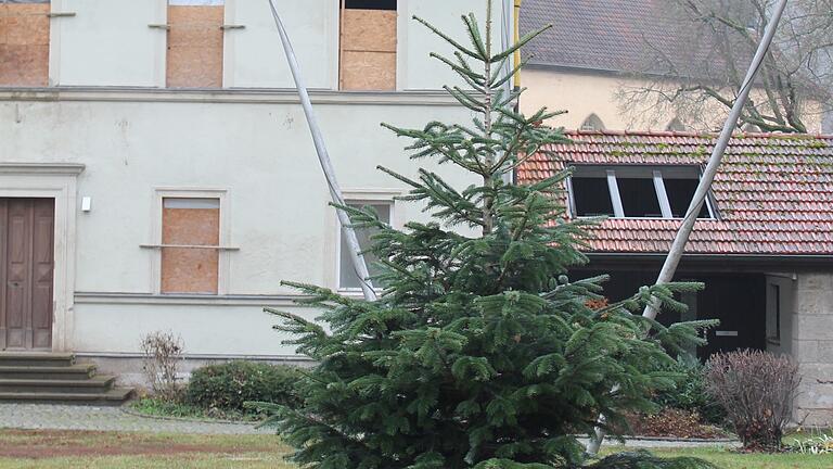 Am Tanzberg in Stockheim wurde bereits eine Nordmanntanne gepflanzt. Sie kann nun jedes Jahr als Christbaum geschmückt werden und man spart sich so den Aufwand mit der jährlichen Suche und dem Aufstellen eines Baumes.