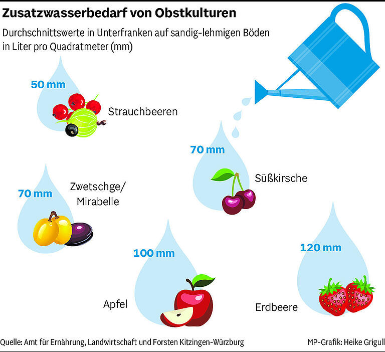 Regionale Lebensmittel im Vergleich: Welches Obst und Gemüse braucht in Unterfranken am meisten Wasser?