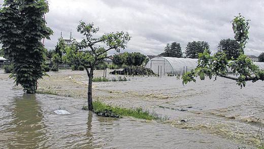 Land unter: Der Silberbach ergoss sich über die Felder der Gärtnerei.