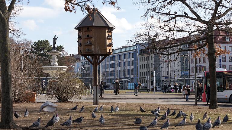 Betreute Taubenschläge wie dieser am Bahnhofsplatz in Würzburg sind eine Möglichkeit, den Bestand der Taubenpopulation zu kontrollieren, indem die Eier durch Gipseier ausgetauscht werden. Betreute Taubenschläge wie dieser am Bahnhofsplatz in Würzburg sind eine Möglichkeit, den Bestand der Taubenpopulation zu kontrollieren, indem die Eier durch Gipseier ausgetauscht werden.
