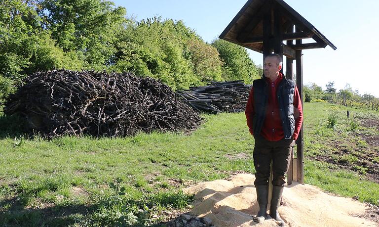 Kein einfacher Abschied: Den Bio-Weinberg aufzulösen, ist Hartmut Eckert nicht leicht gefallen. Jetzt liegen die ehemaligen Weinstöcke und Pfähle am Rande der zukünftigen Blühwiese. Der Ex-Ökowinzer will sie als Brennholz verwenden.&nbsp;