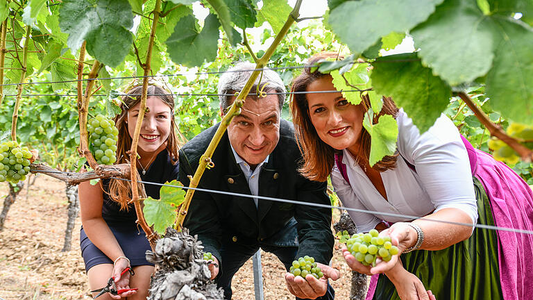 Eröffnung der Weinlese 2019 durch Ministerpräsident Markus Söder, Landwirtschaftsministerin Michaela Kaniber, Weinkönigin  Carolin Meyer und Weinbaupräsident Artur Steinmann im Thüngersheimer Scharlachberg.