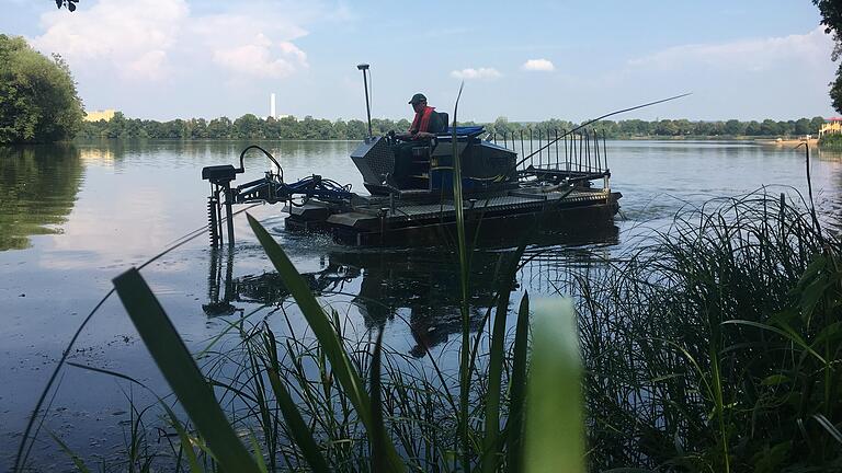 Weil das Seegras am Baggersee am Schweinfurter Kreuz überhand genommen hat, wird es gemäht. Eine Spezialfirma aus Essen rückte mit ihrem Boot an.