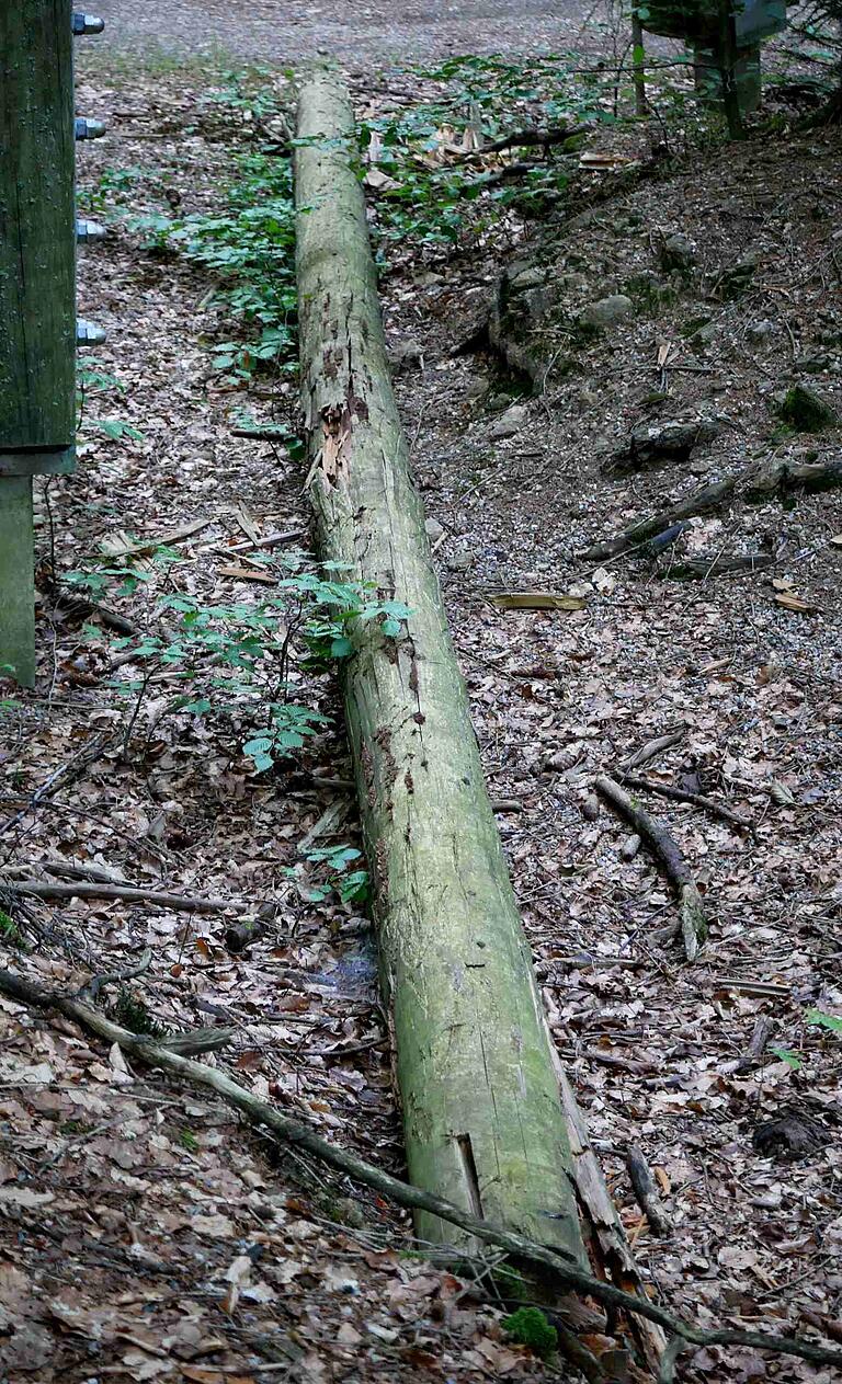 Auf dem Baumwipfelpfad in Neuschönau liegt ein aus der Stützkonstruktion herausgebrochener Querriegel&nbsp; am Boden.