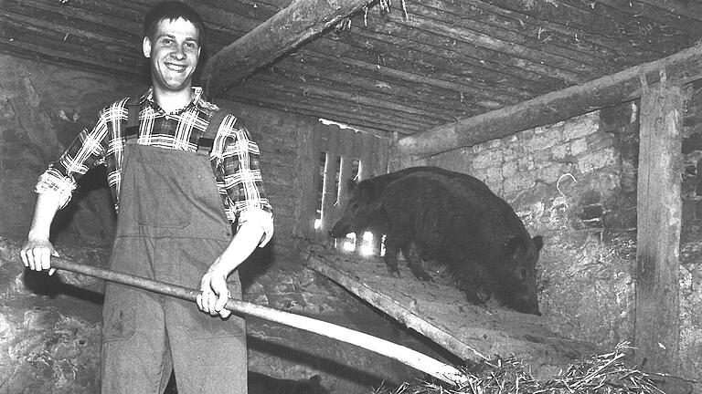 Weil er die Saalwette in Hof verloren hatte, musste Otmar Schraud aus Binsfeld im März 1989 einen Schweinestall ausmisten. Weil er die Saalwette in Hof verloren hatte, musste Otmar Schraud aus Binsfeld im März 1989 einen Schweinestall ausmisten. 
