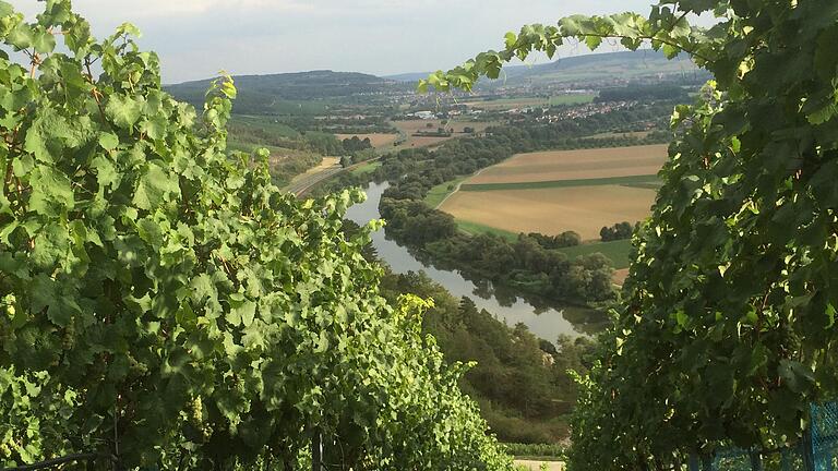 Karlstadt gehört zum Fränkischen Weinland. Es gibt gute Weine, doch damit ließe sich noch besser werben. Karlstadt gehört zum Fränkischen Weinland. Es gibt gute Weine, doch damit ließe sich noch besser werben. 