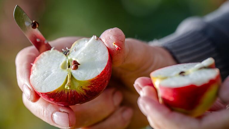 Apfel.jpeg       -  Ein simpler Trick verhindert, dass ein geschnittener Apfel braun wird