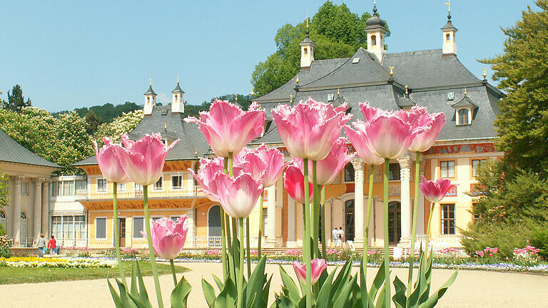 Schloss Pillnitz in Dresden       -  Heiraten in einer Orangerie ist für viele Vintage-Bräute ein Traum. Wir haben die schönsten Hochzeitslocations in Franken zusammengestellt.