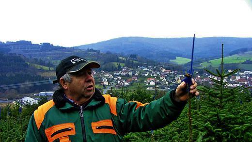Überall in Mittelsinn werden Christbäume angebaut: Ludwig Richter zeigt in einer Kultur einen Baum mit Vogelschutz, der im Frühjahr die frische Spitze schonen soll.