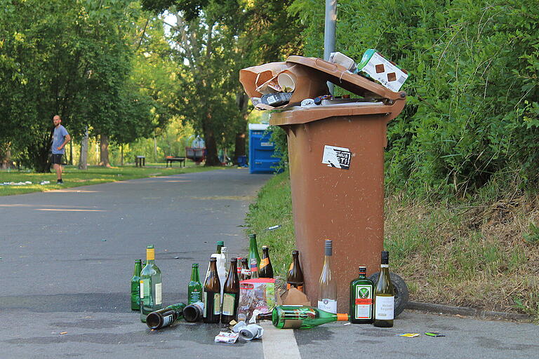 Während im Gras Müllberge liegen, quellen auch die Mülleimer über.