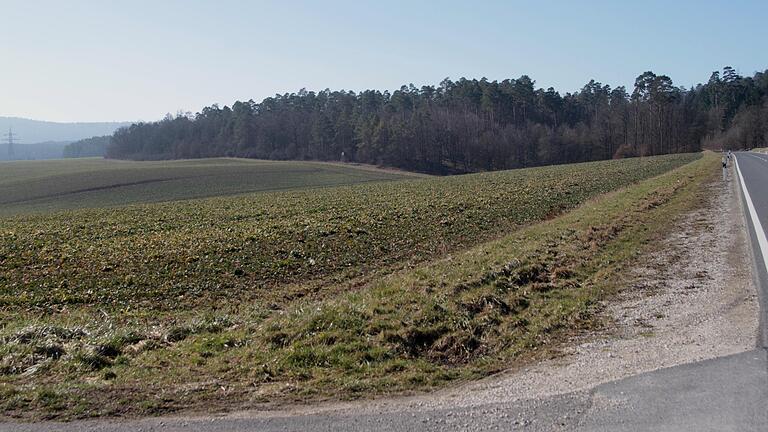 Angrenzend an die Staatsstraße 2274 von Rentweinsdorf nach Salmsdorf soll hier vor dem Wald mit Flurbezeichnung „Herrmannshoffeld Hasenleite“ auf einer Fläche von 42 Hektar der neue Solarpark entstehen.