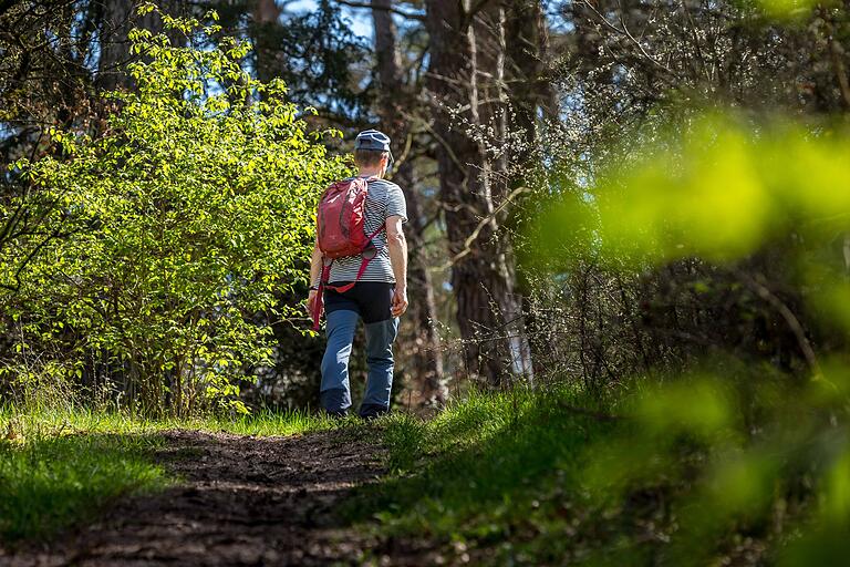 Unterwegs auf der Extratour Wacholderheide in Münnerstadt. Der Wanderweg verläuft durch den Münnerstädter Wald.