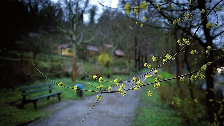 Zur falschen Zeit am falschen Ort: Auf diesem Weg vom Rosengarten zur Festung Marienberg lauerte der Täter der siebenjährigen Manuela auf.