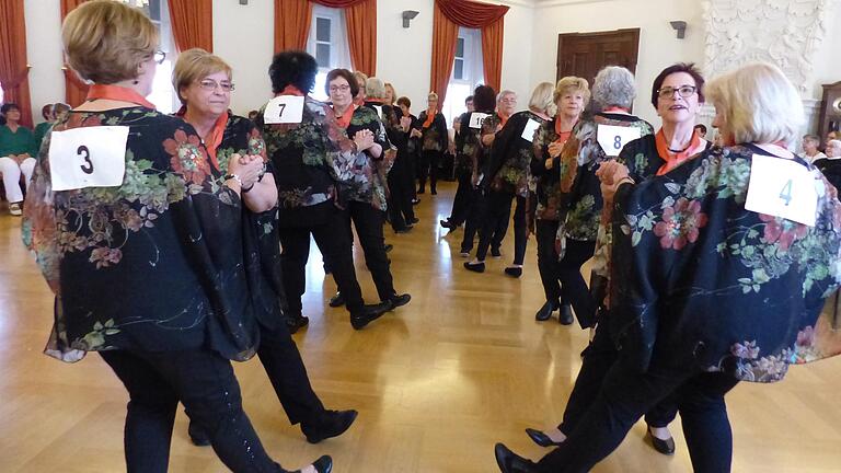 Tanzen vertreibt den Blues aus der Seele: Insgesamt 70 Damen aus Bergrheinfeld, Geldersheim, Salz in der Rhön und Heidenfeld absolvierten das Deutsche Tanzsportabzeichen im Festsaal des Klosters Heidenfeld. Im Bild die Tanzgruppe aus Heidenfeld.