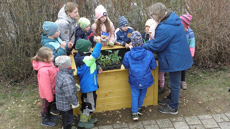 Aufmerksam folgten die Kinder den Erklärungen von Monika Mai, der Vorsitzenden des örtlichen Obst- und Gartenbauvereins, die Erdbeerpflanzen und Saatgut mitgebracht hatte.