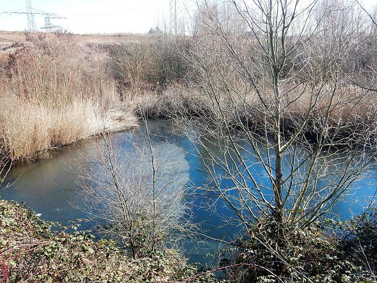 Geblieben sind im Zentrum des Biotops zwei kleine Wasserflächen. Geblieben sind im Zentrum des Biotops zwei kleine Wasserflächen.