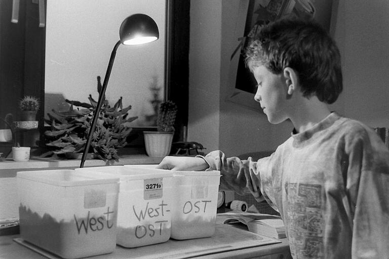 Der damals zwölfjährige Benedikt vor seiner Mehlwurm-Forschungs-Anordnung. Der damals zwölfjährige Benedikt vor seiner Mehlwurm-Forschungs-Anordnung.