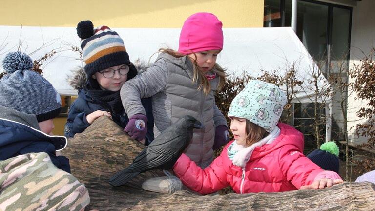 Die Kinder auf Tuchfühlung mit einem Rabenvogel. Die Kinder auf Tuchfühlung mit einem Rabenvogel.