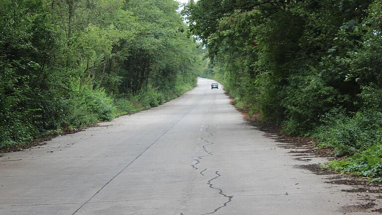 Die Panzerstraße führt durch den Klosterforst, hier das Teilstück auf Großlangheimer Gemarkung.