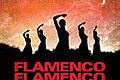 Flamenco Flamenco