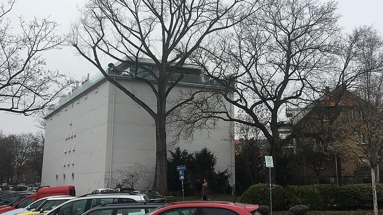 Die Schwarzpappel am Spitalseebunker (Mitte) ist aus Sicht der Baumkontrolleure der Stadt nicht mehr standsicher, sie wird gefällt. An ihre Stelle soll eine rotblühende Roßkastanie gepflanzt werden.