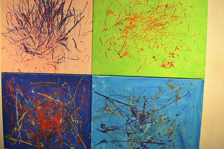 Eine ganz besondere Ausstellung 'Im Rahmen' ist im Franck-Haus in Marktheidenfeld. Wirklich sehenswert