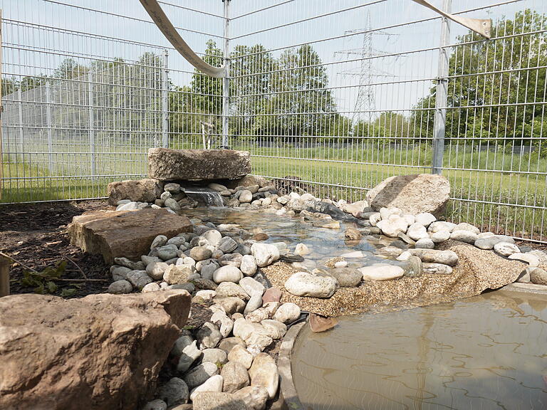 Das Waschbär-Gehege auf dem Gelände des Tierheims Haßberge ist bezugsfertig. Angelegt wurde darin unter anderem auch ein Wasserlauf.