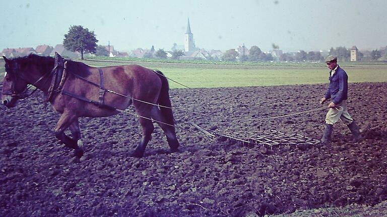 Dorfansicht Grettstadt 1963: Vor dem Flurbereinigungsverfahren waren die Ackerflächen der Bauern oft nur schmale Streifen. Der Zeitaufwand war groß um mit dem Pferdegespann zu seinem Acker zu gelangen.