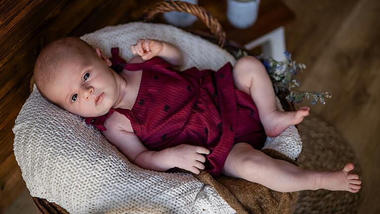 Mit wachsamen Augen verfolgt Emilie bei ihrem ersten Fototermin, was um sie herum passiert. Mit wachsamen Augen verfolgt Emilie bei ihrem ersten Fototermin, was um sie herum passiert.