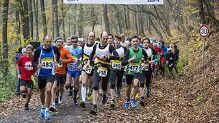 Weit über 900 Teilnehmer waren beim Waldmarathon in Zeil an den Start gegangen.