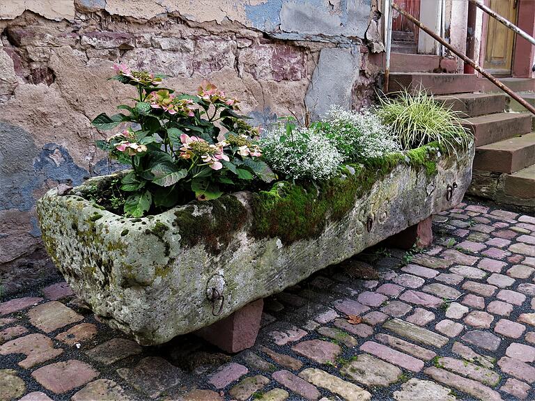 Einst Brunnenbecken, jetzt Blumenkübel: Dieser Sandsteintrog in der Lohrer Fischergasse trägt die Jahreszahl 1836 und stammt aus Rothenbuch.