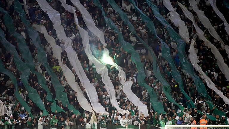 Fans von Palmeiras in Brasilien       -  Die Fans von Palmeiras bei einem früheren Spiel im Stadion.