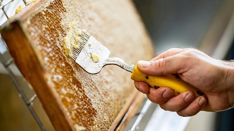 Ein Imker entfernt die Deckel der honigvollen Bienenwaben voll Honig, um die Wabe für die Honigernte zu schleudern. Ein Imker entfernt die Deckel der honigvollen Bienenwaben voll Honig, um die Wabe für die Honigernte zu schleudern.