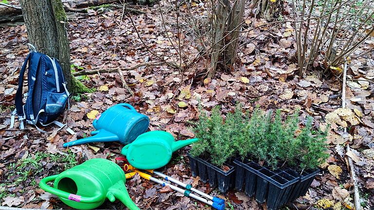 Mit Pflanz- und Gießaktionen versucht Förster Wolfgang Schölch dem Waldsterben auf den Sandböden beizukommen.