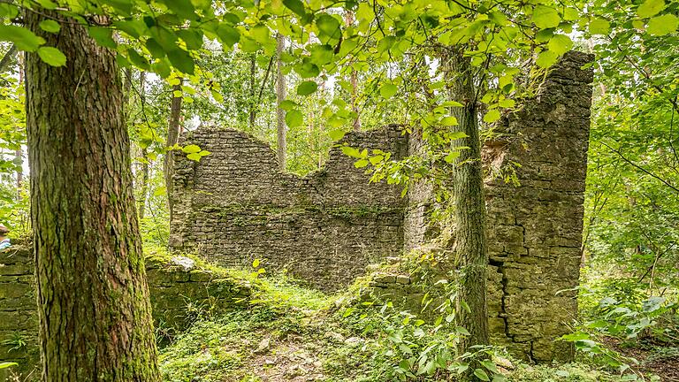 Zur Ruine des spätmittelalterlichen Wartturms 'Blauer Turm' gelangt man über einen verschlungenen Waldpfad.