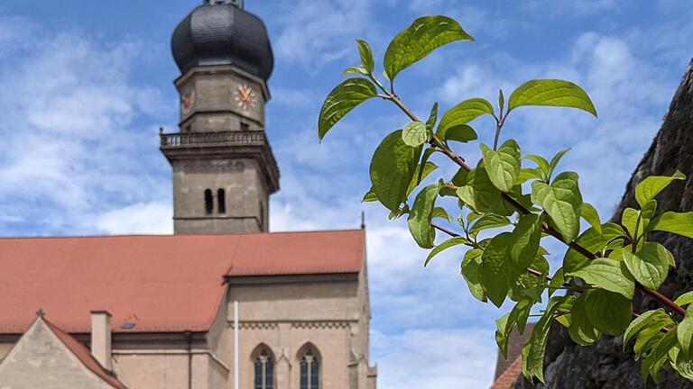 St. Kilian in Mellrichstadt wurde bei der Kirchen-Kategorisierung unter 'B' eingestuft. St. Kilian in Mellrichstadt wurde bei der Kirchen-Kategorisierung unter 'B' eingestuft.
