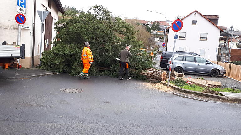Nach dem Fällen der Eibe in Hausen können die Kanalarbeiten wie geplant beginnen. Die Diskussion über den Baum wird in Hausen seit Jahren geführt. Nach dem Fällen der Eibe in Hausen können die Kanalarbeiten wie geplant beginnen. Die Diskussion über den Baum wird in Hausen seit Jahren geführt.