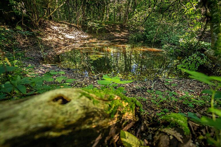 Unterwegs auf der Wanderrunde 'Verwunschen verwunschen' kommt man am Naturdenkmal Schwarzes Loch vorbei. Unterwegs auf der Wanderrunde 'Verwunschen verwunschen' kommt man am Naturdenkmal Schwarzes Loch vorbei.
