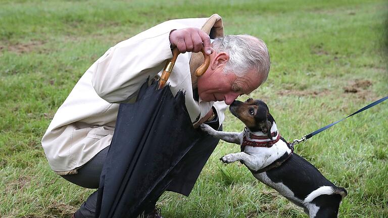 Königin Camilla trauert um einen ihrer Hunde       -  Beth, einer der vierbeinigen Begleiter von Königin Camilla und König Charles, ist tot. (Archivbild)