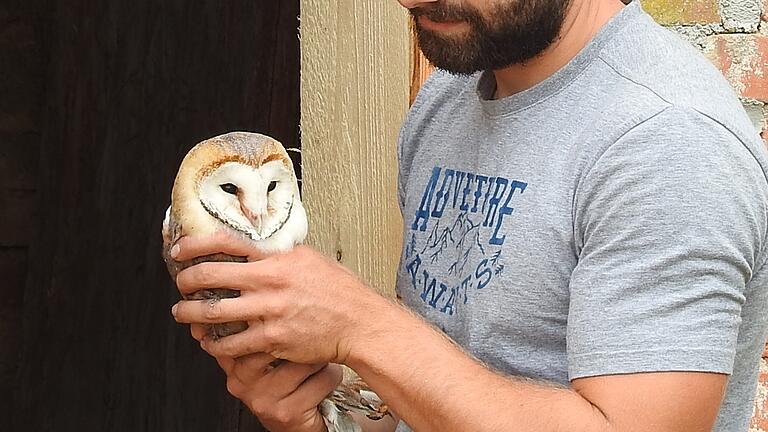 Sven Reinhart von der Vogel-Auffangstation in Eichenfürst hält eine Schleiereule.&nbsp;