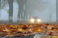 nebel.jpg       -  Autofahrer müssen im Herbst und Winter nicht nur besonders vorsichtig sein. Es lohnt sich auch, das Licht zu checken und zu wissen, was bei einem Wildunfall zu tun ist.